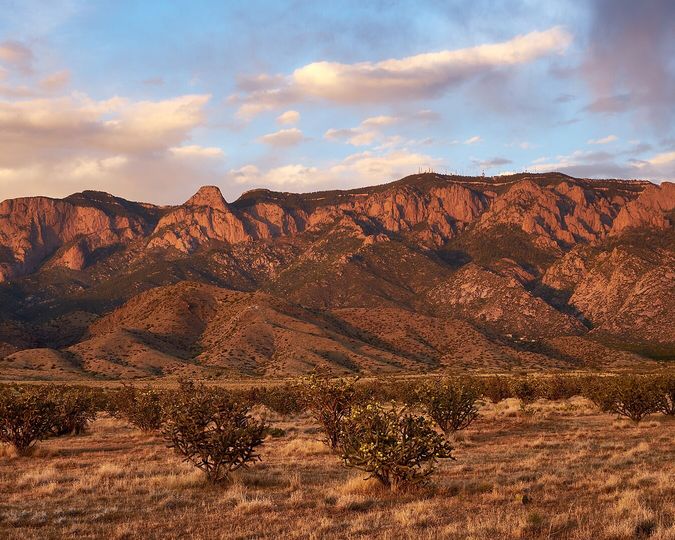 Sandia Mountains glowing pink at sunset above the desert near Albuquerque