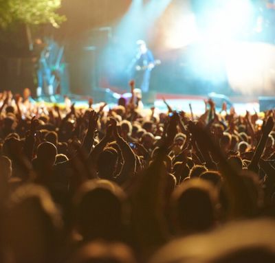 Festivals / Concerts